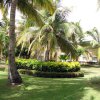 Dominikanische Rep-Hotel Bavaro Palladium (33)